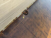 三菱ふそうファイター平ボディ増トン（6t・8t）[写真13]