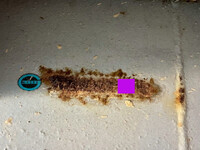 東急その他の車種煽付平床式トレーラー大型（10t）[写真09]