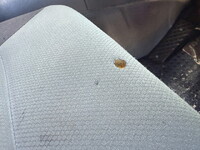 三菱ふそうスーパーグレートダンプ大型（10t）[写真29]