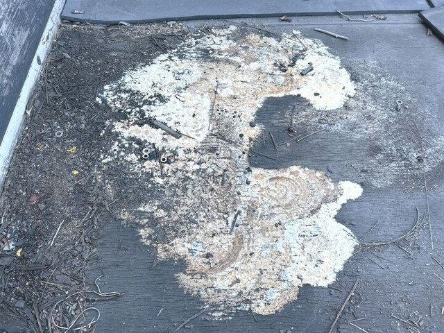 マツダタイタンダブルキャブ（Wキャブ）小型（2t・3t）[写真16]