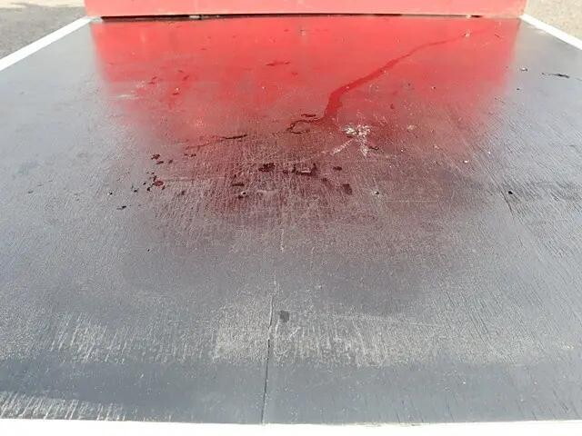 いすゞエルフダブルキャブ（Wキャブ）小型（2t・3t）[写真08]