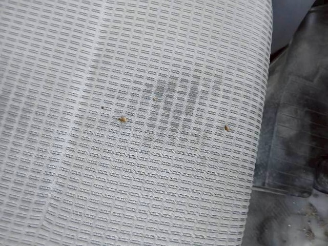 日野デュトロ冷凍車（冷蔵車）小型（2t・3t）[写真34]