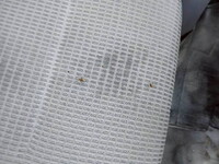 日野デュトロ冷凍車（冷蔵車）小型（2t・3t）[写真35]