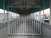 いすゞギガ家畜運搬車大型（10t）[写真18]