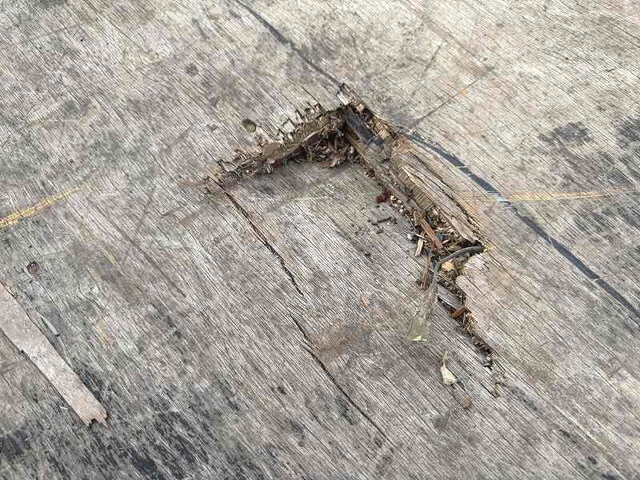 三菱ふそうキャンター平ボディ小型（2t・3t）[写真12]