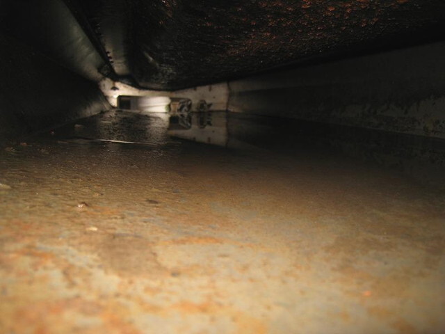 いすゞエルフパッカー車（塵芥車）小型（2t・3t）[写真11]