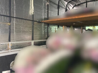 トヨタトヨエース幌車小型（2t・3t）[写真08]