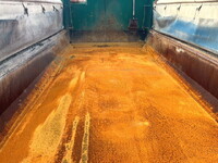 いすゞギガダンプ大型（10t）[写真10]