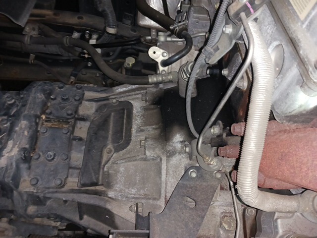 いすゞギガアルミウイング大型（10t）[写真39]