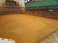 日野デュトロダンプ小型（2t・3t）[写真14]