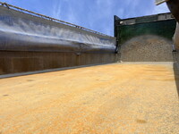 UDトラックスクオンダンプ大型（10t）[写真16]