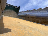 UDトラックスクオンダンプ大型（10t）[写真17]