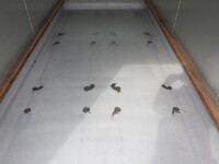 トヨタその他の車種アルミバン小型（2t・3t）[写真35]