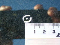 マツダタイタン平ボディ小型（2t・3t）[写真40]