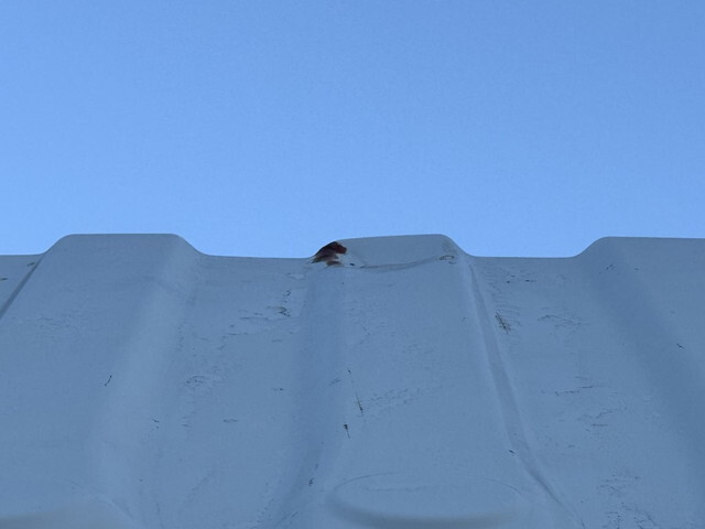 いすゞフォワードダンプ中型（4t）[写真35]