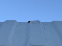 いすゞフォワードダンプ中型（4t）[写真36]