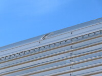 日野レンジャーアルミウイング中型（4t）[写真37]