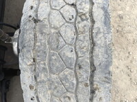 いすゞギガ冷凍車（冷蔵車）大型（10t）[写真18]