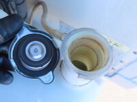 いすゞギガ冷凍車（冷蔵車）大型（10t）[写真22]