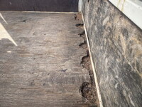 いすゞエルフ平ボディ小型（2t・3t）[写真11]