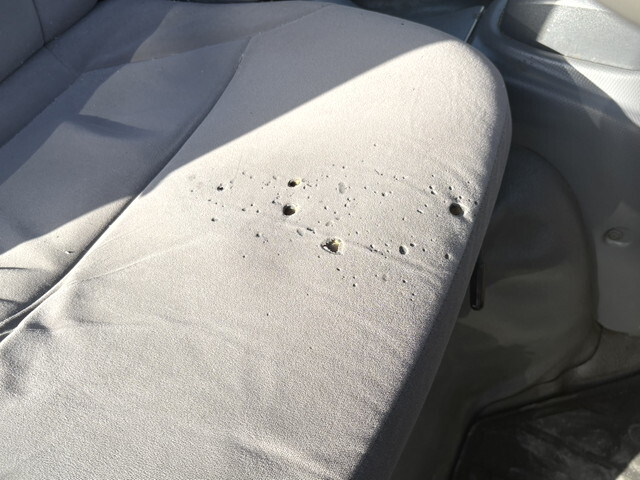 いすゞエルフアルミバン小型（2t・3t）[写真29]