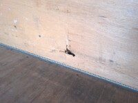 いすゞエルフアルミバン小型（2t・3t）[写真23]