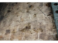 日産アトラス冷凍車（冷蔵車）小型（2t・3t）[写真21]