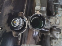 いすゞエルフダブルキャブ（Wキャブ）小型（2t・3t）[写真21]