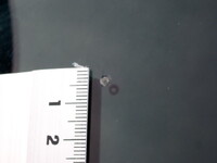 UDトラックスコンドルコンテナ専用車中型（4t）[写真40]