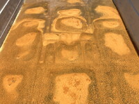 三菱ふそうファイター深ダンプ（土砂禁ダンプ）中型（4t）[写真16]