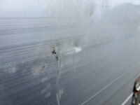 日野プロフィアアルミウイング大型（10t）[写真16]