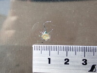 日野レンジャーアルミウイング中型（4t）[写真40]