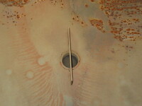 日野レンジャー散水車中型（4t）[写真32]