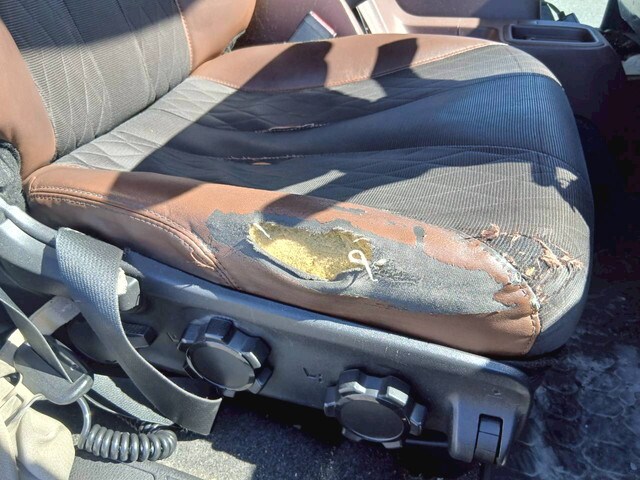 日野レンジャー冷凍車（冷蔵車）増トン（6t・8t）[写真31]