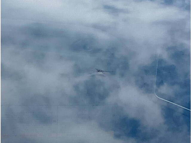 いすゞギガ冷凍車（冷蔵車）大型（10t）[写真27]