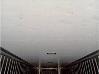 いすゞギガ冷凍車（冷蔵車）大型（10t）[写真09]