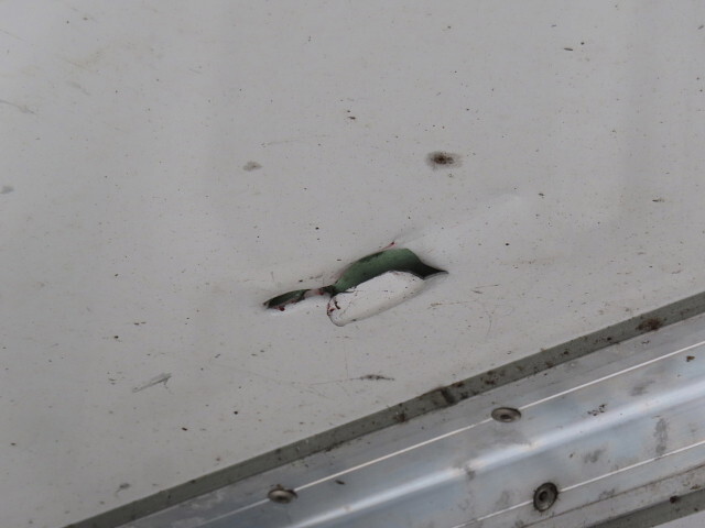 三菱ふそうスーパーグレート冷凍車（冷蔵車）大型（10t）[写真34]