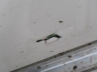 三菱ふそうスーパーグレート冷凍車（冷蔵車）大型（10t）[写真35]