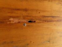 三菱ふそうファイターアルミウイング中型（4t）[写真32]