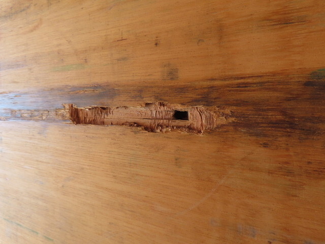 三菱ふそうファイターアルミウイング中型（4t）[写真34]