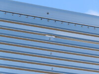 日野プロフィアアルミウイング大型（10t）[写真36]