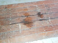 日本フルハーフその他の車種ウイングトレーラー大型（10t）[写真33]