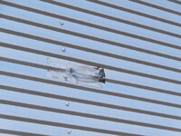 いすゞフォワードアルミウイング中型（4t）[写真39]