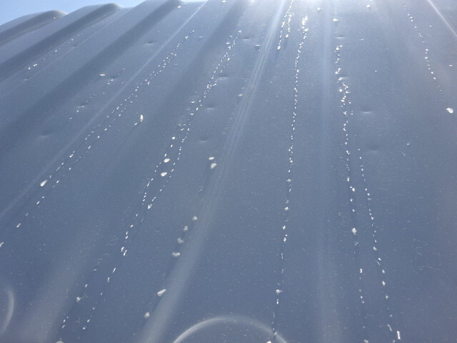 いすゞエルフセーフティローダー小型（2t・3t）[写真39]