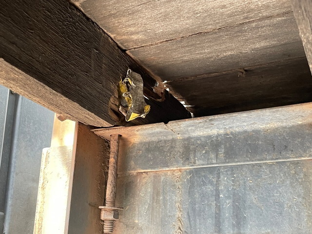 三菱ふそうスーパーグレートアルミブロック大型（10t）[写真19]