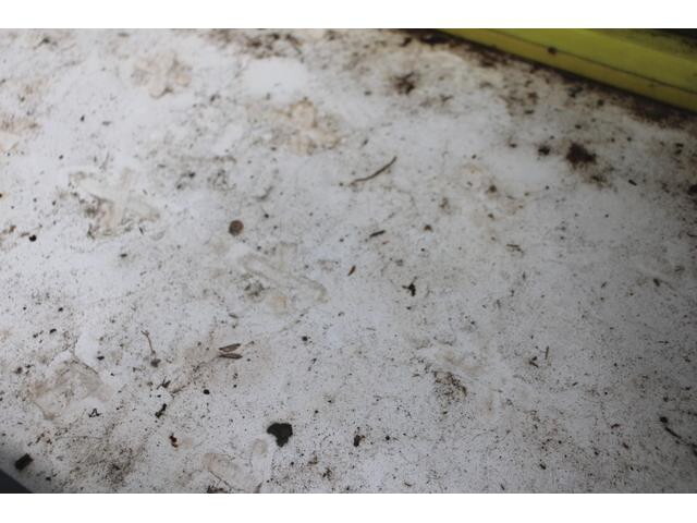 いすゞエルフ冷凍車（冷蔵車）小型（2t・3t）[写真17]