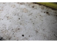 いすゞエルフ冷凍車（冷蔵車）小型（2t・3t）[写真18]