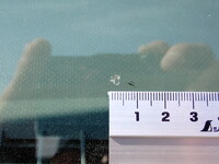 いすゞフォワードクレーン4段中型（4t）[写真40]