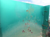 いすゞギガダンプ大型（10t）[写真37]