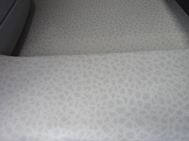 いすゞギガアルミウイング大型（10t）[写真40]